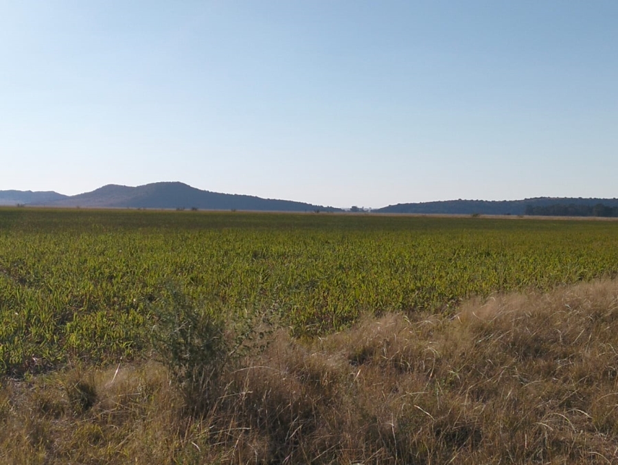 Commercial Property for Sale in Thaba Nchu Free State